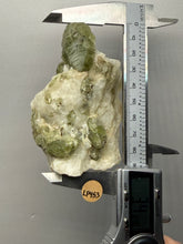 Load image into Gallery viewer, Electric Green Diopside on Quartz – Collector Mineral Specimen (Gilgit-Baltistan) Pakistan
