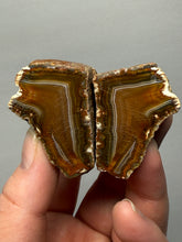 Load image into Gallery viewer, Premium Sumatra Agate Pair (Banded Chalcedony) Display Specimen | Indonesia