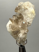Load image into Gallery viewer, Smoky Quartz Crystal Specimen | Natural Collector Mineral – Brazil