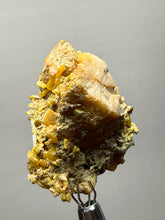 Load image into Gallery viewer, High-Grade Orange Wulfenite Collector Display Specimen | La Morita Mine, Chihuahua, Mexico