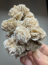 Load image into Gallery viewer, Desert Rose Selenite (Gypsum) — Mineral Display Specimen | Mexico