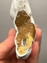 Load image into Gallery viewer, Chichaoua Menalite “Fairy Stone” Concretion | Natural Collector Display Specimen | Morocco