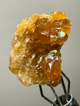 Load image into Gallery viewer, Hessonite Garnet Cluster on Matrix – Thumbnail Collector Specimen from Pakistan | High-Grade Orange-Red Garnet Crystals