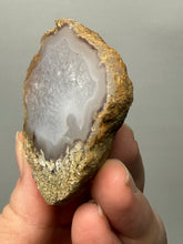 Load image into Gallery viewer, Natural Laguna Agate Collector Mineral Specimen | Chihuahua, Mexico