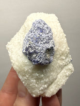 Load image into Gallery viewer, Afghan Lazurite Specimen | Deep Blue Lapis-Grade Crystal on Matrix | Collector Display Mineral