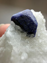 Load image into Gallery viewer, Afghan Lazurite Specimen | Deep Blue Lapis-Grade Crystal on Matrix | Collector Display Mineral