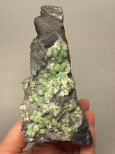 Load image into Gallery viewer, High-Grade Green Wavellite Collectors Specimen - Radiating Botryoidal Crystal Formation - Arkansas, USA