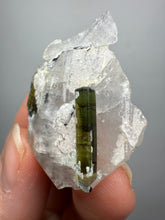 Load image into Gallery viewer, Dark Green Cap Stak Nala Tourmaline on Cleavelandite Matrix – Haramosh Mountains, Pakistan