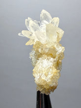 Load image into Gallery viewer, 1.4” High-Grade Flower Calcite Specimen | Wenshan Mine, Yunnan, China | Collector Mineral Display