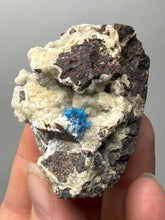 Load image into Gallery viewer, Rare Electric Blue Pentagonite on Druzy Matrix – Collector Mineral Specimen | India