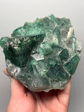 Load image into Gallery viewer, Green Cubic Fluorite — Yiwu, Jinhua, Zhejiang, China (Collector Specimen)