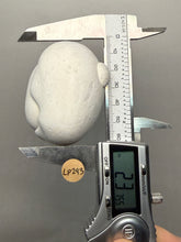 Load image into Gallery viewer, Chichaoua Menalite “Fairy Stone” Concretion | Natural Collector Display Specimen | Morocco