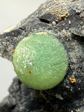 Load image into Gallery viewer, High-Grade Green Wavellite Collectors Specimen - Radiating Botryoidal Crystal Formation - Arkansas, USA
