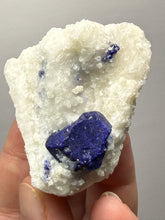 Load image into Gallery viewer, Afghan Lazurite Specimen | Deep Blue Lapis-Grade Crystal on Matrix | Collector Display Mineral
