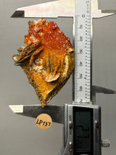 Load image into Gallery viewer, Natural Vanadinite on Matrix | Collector Mineral Specimen | Morocco