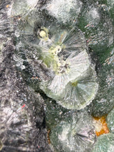 Load image into Gallery viewer, High-Grade Green Wavellite Collectors Specimen - Radiating Botryoidal Crystal Formation - Arkansas, USA