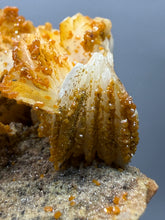 Load image into Gallery viewer, Natural Vanadinite on Matrix | Collector Mineral Specimen | Morocco