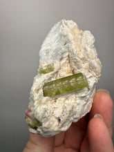 Load image into Gallery viewer, Watermelon Tourmaline & Aquamarine on Matrix – Collector Mineral Specimen from Pakistan