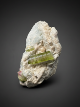 Load image into Gallery viewer, Watermelon Tourmaline & Aquamarine on Matrix – Collector Mineral Specimen from Pakistan