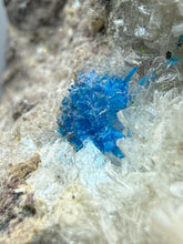 Load image into Gallery viewer, Rare Electric Blue Pentagonite on Druzy Matrix – Collector Mineral Specimen | India