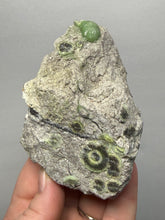 Load image into Gallery viewer, High-Grade Green Wavellite Collectors Specimen - Radiating Botryoidal Crystal Formation - Arkansas, USA