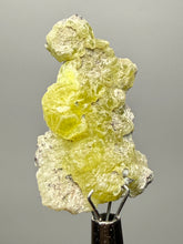 Load image into Gallery viewer, Vibrant Yellow Brucite Thumbnail Mineral Specimen | Collector Crystal from Killa Saifullah District in Balochistan Province, Pakistan