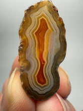 Load image into Gallery viewer, Polished Malawi Agate Half – High-Grade African Banded Agate Display Specimen
