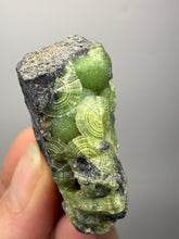 Load image into Gallery viewer, High-Grade Green Wavellite Collectors Specimen - Radiating Botryoidal Crystal Formation - Arkansas, USA