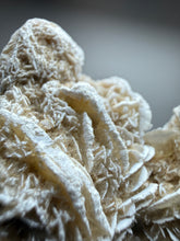 Load image into Gallery viewer, Desert Rose Selenite (Gypsum) — Mineral Display Specimen | Mexico