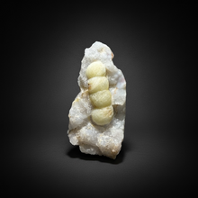 Load image into Gallery viewer, Rare Botryoidal Yellow Fluorite on Quartz Matrix Collector Mineral Specimen – Maharashtra, India