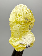 Load image into Gallery viewer, Vibrant Yellow Brucite Thumbnail Mineral Specimen | Collector Crystal from Killa Saifullah District in Balochistan Province, Pakistan