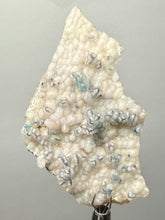 Load image into Gallery viewer, Blue-Green Chrysocolla in Botryoidal Chalcedony Cabinet Specimen | Indonesia