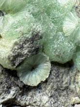 Load image into Gallery viewer, High-Grade Green Wavellite Collectors Specimen - Radiating Botryoidal Crystal Formation - Arkansas, USA