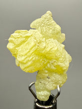 Load image into Gallery viewer, Vibrant Yellow Brucite Thumbnail Mineral Specimen | Collector Crystal from Killa Saifullah District in Balochistan Province, Pakistan