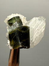 Load image into Gallery viewer, Blue Cap Dark Green Stak Nala Tourmaline and Cleavelandite – Haramosh Mountains, Pakistan | Thumbnail Specimen