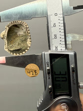 Load image into Gallery viewer, Bivalve (Pelecypoda) Fossil Sea Shell with Chalcopyrite | Mineralized Fossil Specimen | Indonesia