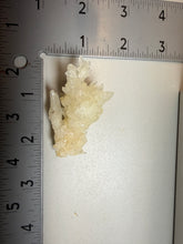 Load image into Gallery viewer, High-Grade Coral Aragonite Specimen | Wenshan Mine, Yunnan, China | Collector Mineral Display