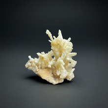 Load image into Gallery viewer, High-Grade Coral Aragonite Crystal Specimen – Wenshan Mine, Yunnan, China