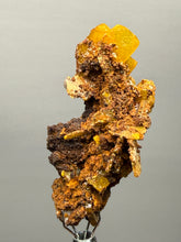 Load image into Gallery viewer, High-Grade Orange Wulfenite Collector Display Specimen | La Morita Mine, Chihuahua, Mexico