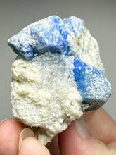 Load image into Gallery viewer, Afghanite Lazurite Specimen | Deep Blue Lapis-Grade Crystal on Matrix | Collector Display Mineral