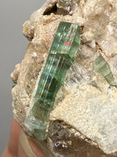 Load image into Gallery viewer, Bicolor Blue Green Tourmaline on Clear Quartz Crystal | Pegmatite Mineral Specimen from Pakistan