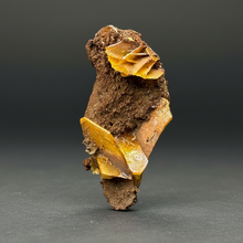 Load image into Gallery viewer, High-Grade Orange Wulfenite Collector Display Specimen | La Morita Mine, Chihuahua, Mexico