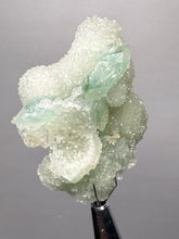 Load image into Gallery viewer, Luminous Mint Apophyllite with Glittering Druzy Sugar Quartz – India