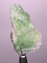 Load image into Gallery viewer, Green Radial “Disco Ball” Apophyllite | Maharashtra, India