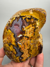 Load image into Gallery viewer, MUSEUM Turkish Agate with Intriguing Inclusions – Great Sticks, Banding and Eyes - Turkey
