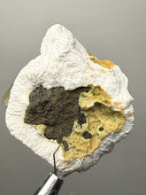 Load image into Gallery viewer, Rare Druzy Golden “Diamond” Calcite on Zeolite Matrix — Maharashtra, India | Collector Cabinet Specimen