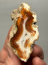 Load image into Gallery viewer, Premium Sumatra Agate (Banded Chalcedony) Display Specimen | Indonesia