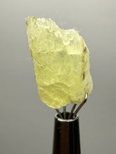 Load image into Gallery viewer, Vibrant Yellow Brucite Thumbnail Mineral Specimen | Collector Crystal from Killa Saifullah District in Balochistan Province, Pakistan