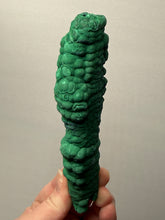 Load image into Gallery viewer, 6.1” High-Grade Malachite Stalactite Botryoidal “Cave” Formation | DR Congo | Mineral Collector Specimen