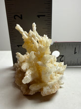 Load image into Gallery viewer, High-Grade Coral Aragonite Crystal Specimen – Wenshan Mine, Yunnan, China